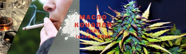 стаф Медногорск