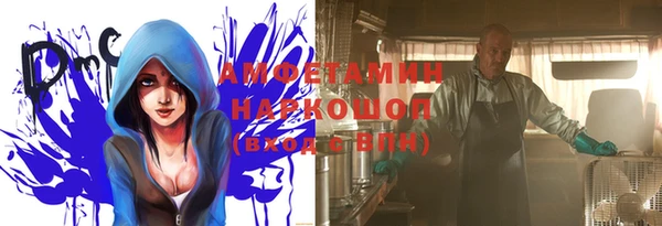 стаф Медногорск