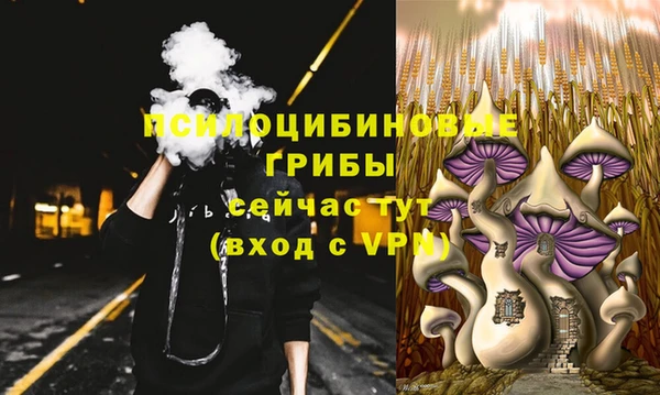 кристаллы Медвежьегорск