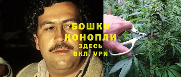стаф Медногорск