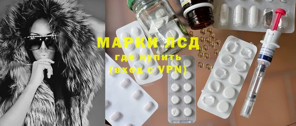 стаф Сясьстрой
