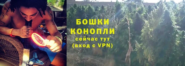 стаф Медногорск