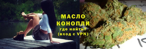 стаф Медногорск